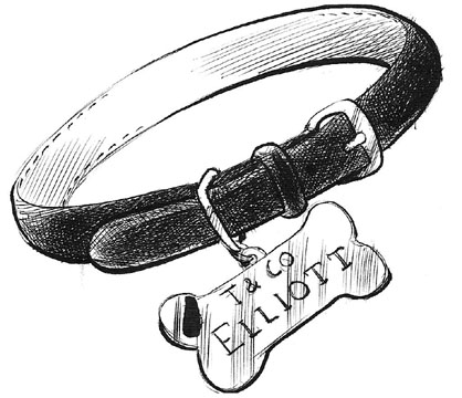 "The Suicidal Dog Illustration - Elliot's Collar" is copyright ©2008 by Robert Goodin.  All rights reserved.  Reproduction prohibited.