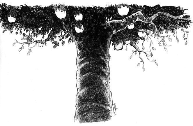 "Tree" is copyright ©2008 by Robert Goodin.  All rights reserved.  Reproduction prohibited.