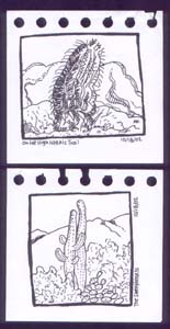 "Field Sketches: cactus in Tucson" is copyright ©2008 by Molly Kiely.  All rights reserved.  Reproduction prohibited.